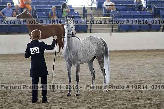 Proof 10r14_0316