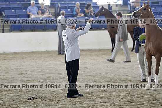 Proof 10r14_0322