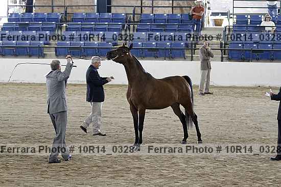 Proof 10r14_0328