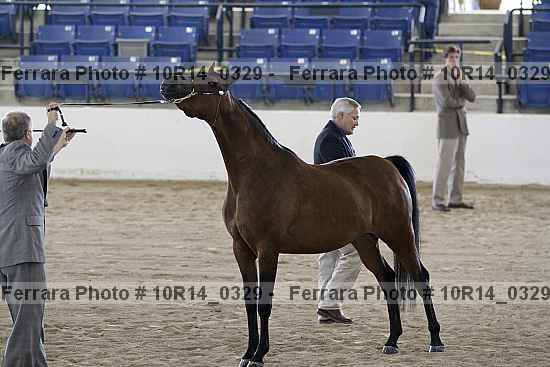 Proof 10r14_0329