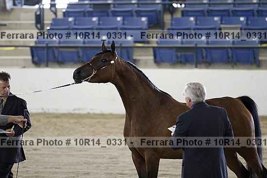Proof 10r14_0331