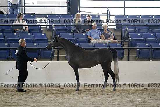 Proof 10r14_0332