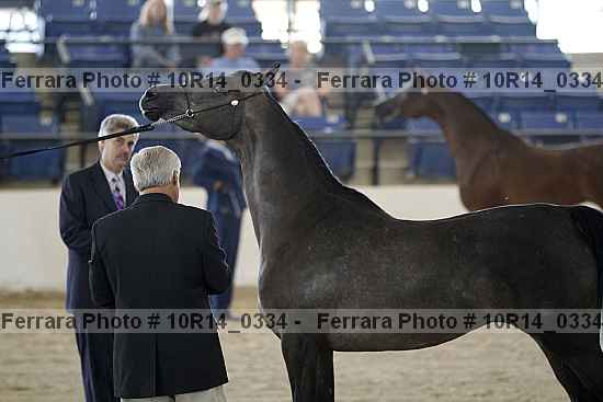 Proof 10r14_0334