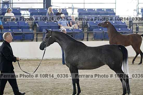 Proof 10r14_0336