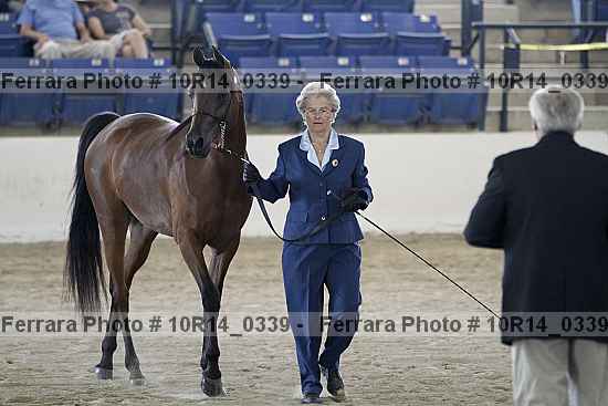 Proof 10r14_0339