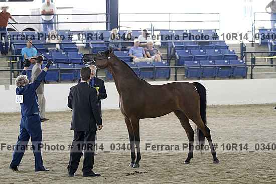 Proof 10r14_0340
