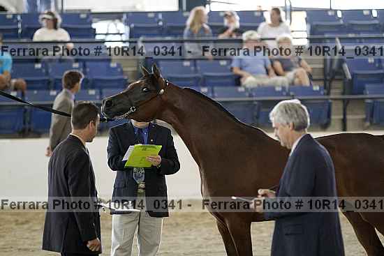 Proof 10r14_0341