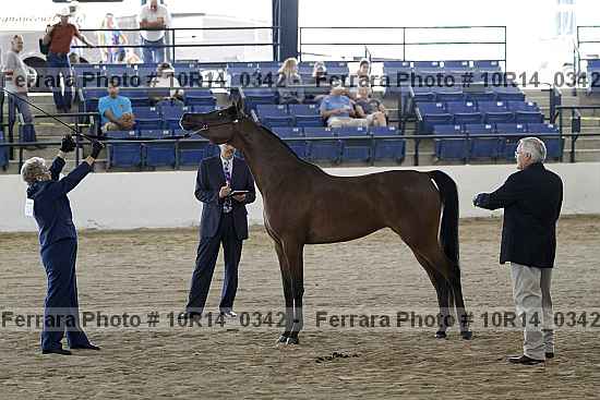 Proof 10r14_0342