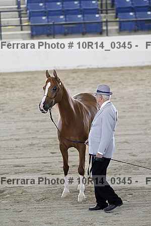 Proof 10r14_0345