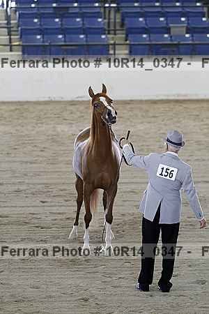 Proof 10r14_0347