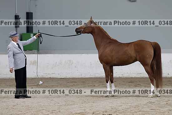 Proof 10r14_0348