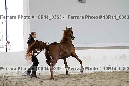 Proof 10r14_0363