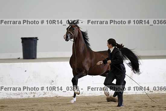 Proof 10r14_0366