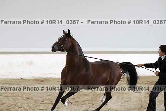 Proof 10r14_0367