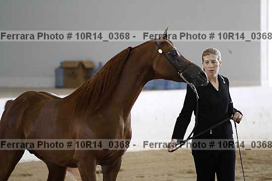 Proof 10r14_0368