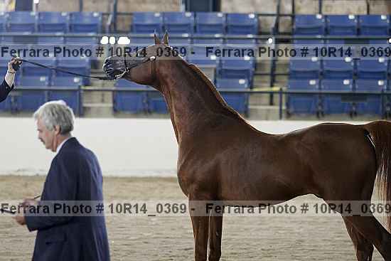 Proof 10r14_0369