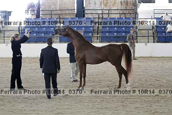 Proof 10r14_0370