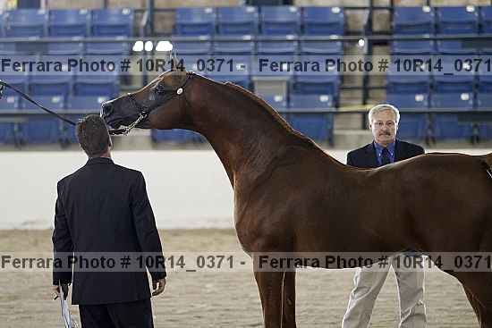 Proof 10r14_0371