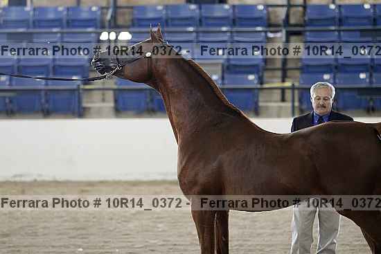 Proof 10r14_0372