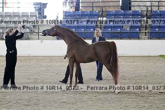 Proof 10r14_0373