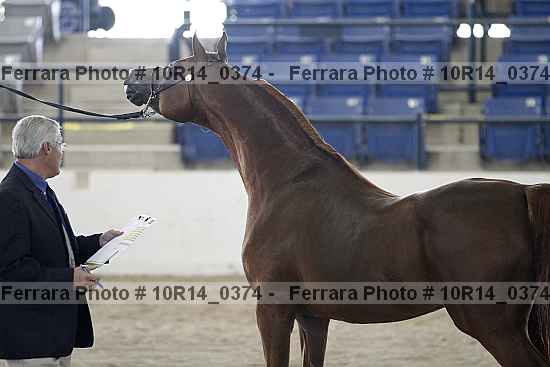 Proof 10r14_0374