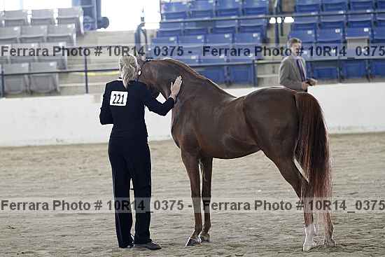 Proof 10r14_0375