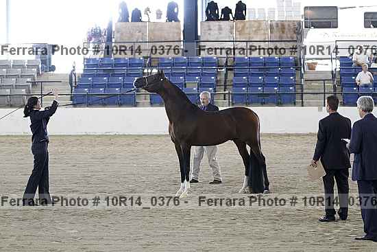 Proof 10r14_0376