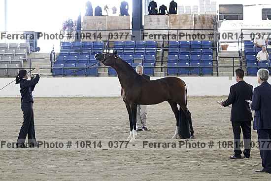 Proof 10r14_0377