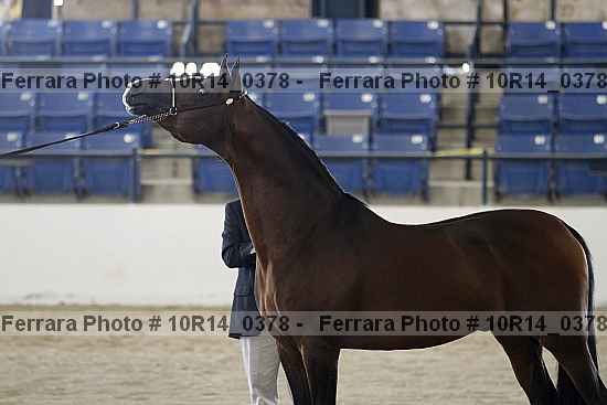 Proof 10r14_0378