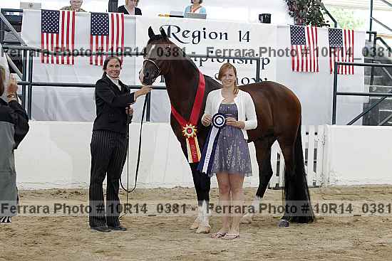 Proof 10r14_0381