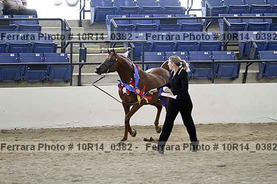 Proof 10r14_0382