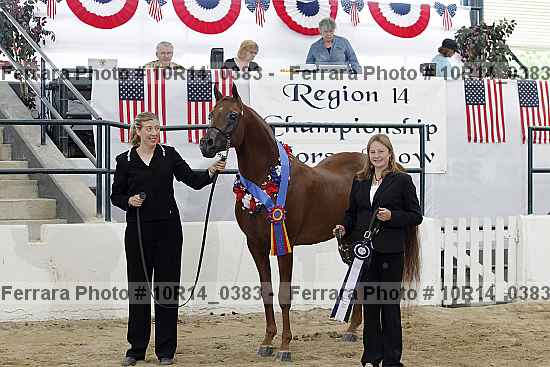 Proof 10r14_0383