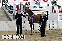 10r14_0384 proof