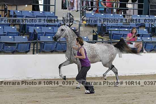 Proof 10r14_0397