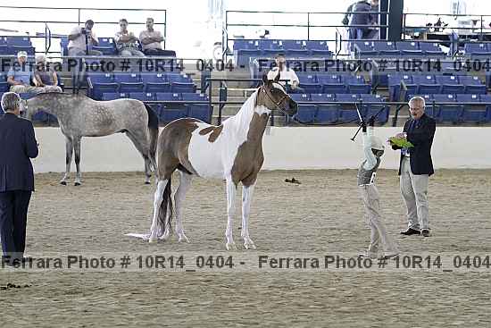 Proof 10r14_0404