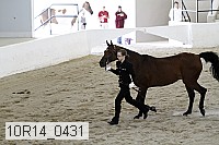 10r14_0431 proof