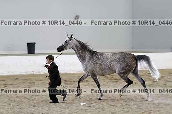 Proof 10r14_0446