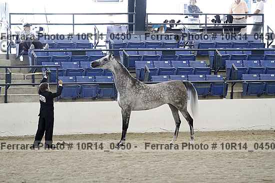 Proof 10r14_0450