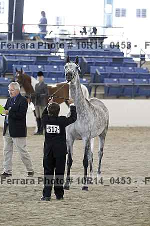 Proof 10r14_0453