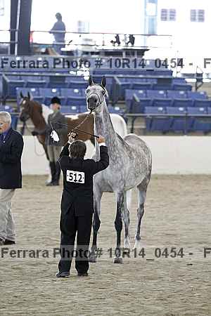 Proof 10r14_0454