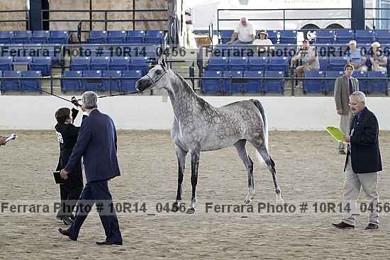 Proof 10r14_0456