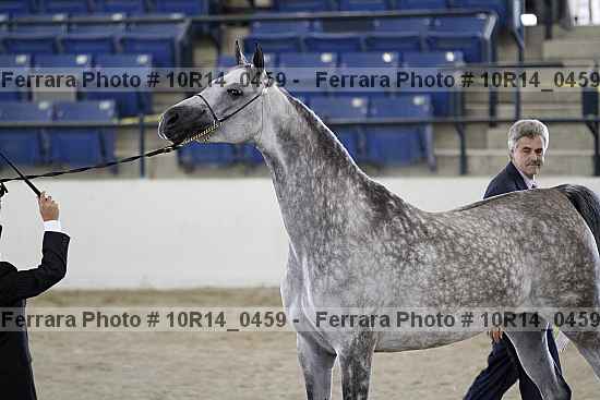 Proof 10r14_0459