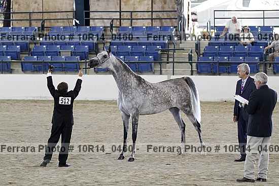 Proof 10r14_0460