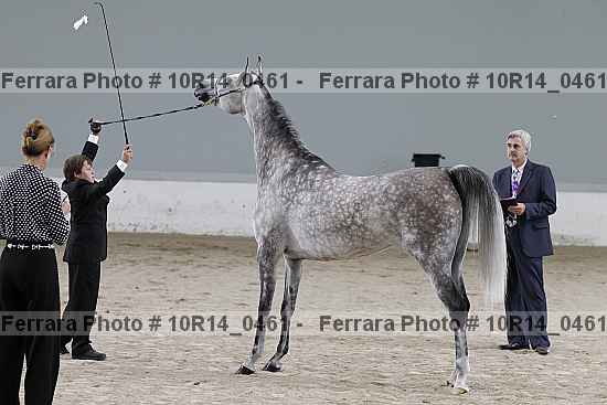 Proof 10r14_0461
