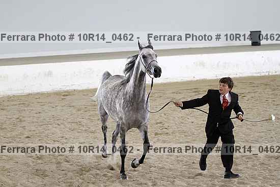 Proof 10r14_0462