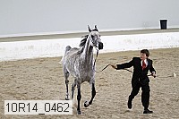 10r14_0462 proof