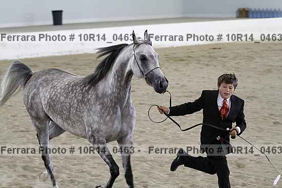 Proof 10r14_0463