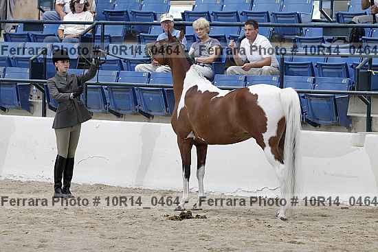 Proof 10r14_0464