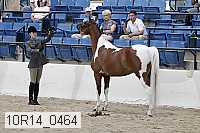 10r14_0464 proof