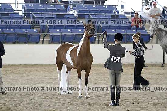 Proof 10r14_0465